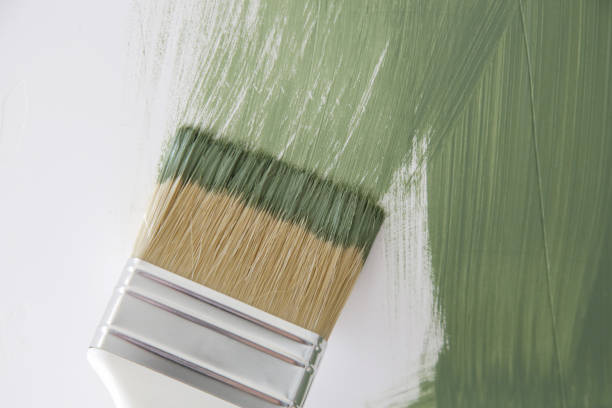 Covina, CA Mold Removal Company